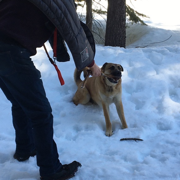 Cute Ralph Lauren navy and white top! - Picture 6 of 15